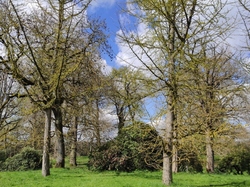  <a style='color: #fff;' href='/uploaded/photo/visie-arboretum-de-chevreloup-6253fa0d49caa.jpg'>(Télécharger)</a>