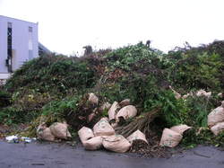  <a style='color: #fff;' href='/uploaded/photo/visite-du-centre-de-tri-cyrene-54a810680c1b6.jpg'>(Télécharger)</a>